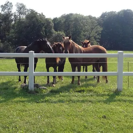 Reiterhof Appartamento